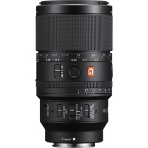 Sony FE 100mm f/2.8 Macro GM Lens (Sony E)