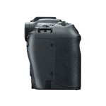 Canon EOS R8 Mirrorless Camera (Only Body)