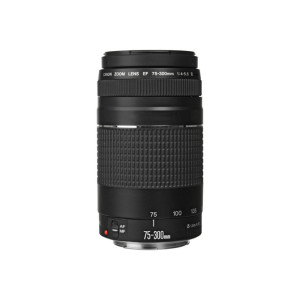 Canon EF 75-300mm f_4-5.6 III Lens