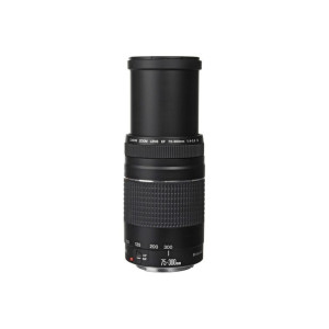 Canon EF 75-300mm f/4-5.6 III Zoom Lens