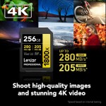 Lexar 256GB Professional 1800x UHS-II SDXC Memory Card